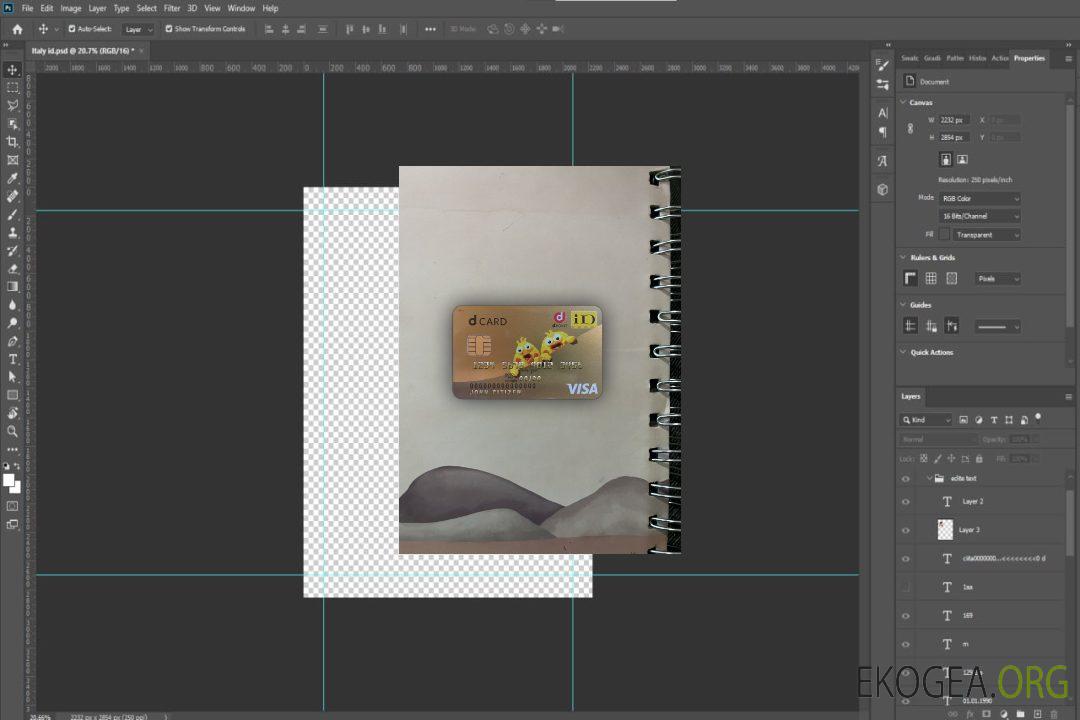 Photolook carte visa Japon D point club recto template